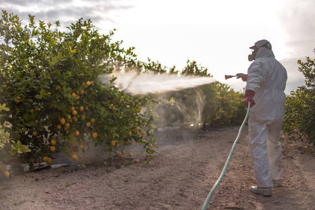 Outdoor Pest Control in Beaver Falls, PA